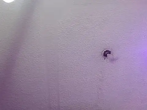 Pandora 9666 online show from 10-24-25, 03:25