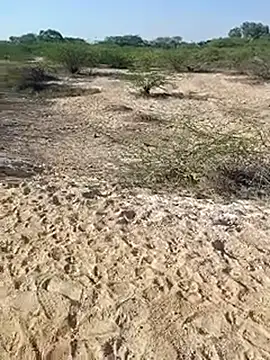 Snapshot of Delhi_BoyBigcock chatting on 03-11-25, 03:05 Delhi BoyBigcock online show from 03-11-25, 03:05