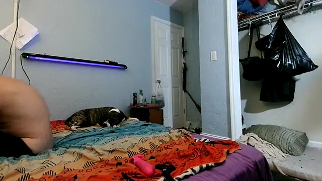 PornStro921 online show from 03-14-25, 11:32