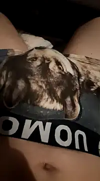 Snapshot of imre200270 chatting on 03-15-25, 11:50 imre200270 online show from 03-15-25, 11:50