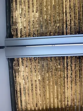 Snapshot of Madisson-Rivas chatting on 10-14-25, 07:14 Madisson-Rivas online show from 10-14-25, 07:14