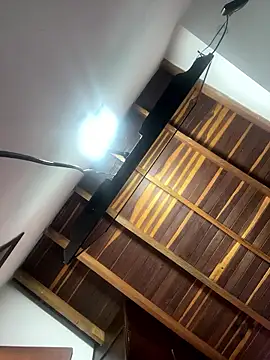 Madisson-Rivas online show from 01-15-26, 06:11