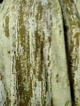 mens weakness online show from 11-02-25, 06:49