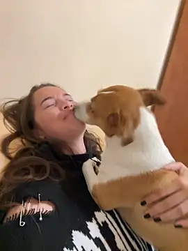 Beverly Hilll online show from 10-02-25, 03:19