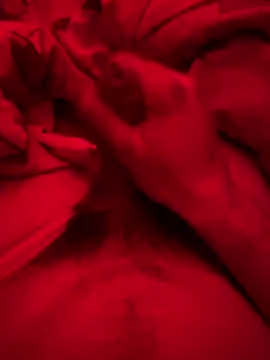 ruchacz24 online show from 03-06-25, 02:51