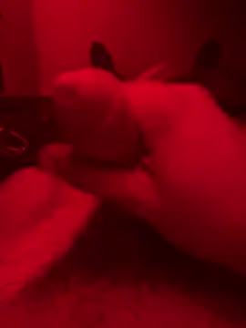 ruchacz24 online show from 10-14-25, 01:50