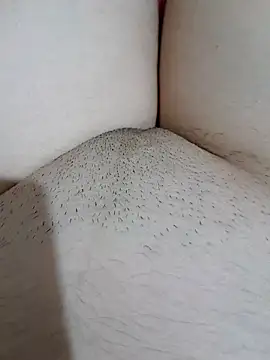 Snapshot of yakot7 chatting on 10-31-25, 12:11 yakot7 online show from 10-31-25, 12:11