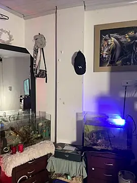 CRAZY-BOY99 online show from 01-11-26, 07:57