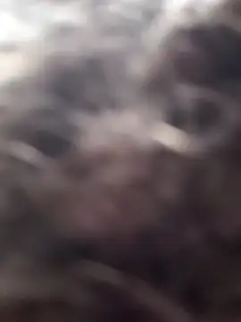 littledick947 online show from 03-16-26, 08:13