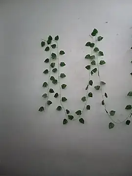 Snapshot of Neha-Bhabhi-Rasily chatting on 12-17-25, 07:47 Neha-Bhabhi-Rasily online show from 12-17-25, 07:47