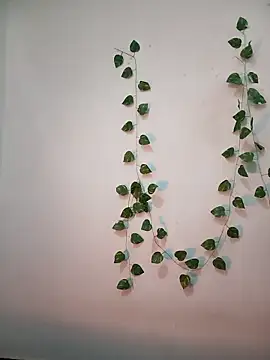 Snapshot of Neha-Bhabhi-Rasily chatting on 02-18-26, 11:17 Neha-Bhabhi-Rasily online show from 02-18-26, 11:17