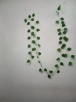 Snapshot of Neha-Bhabhi-Rasily chatting on 02-22-26, 09:08 Neha-Bhabhi-Rasily online show from 02-22-26, 09:08