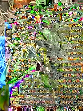 Snapshot of himvilohi08 chatting on 09-27-25, 12:32 himvilohi08 online show from 09-27-25, 12:32