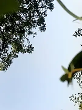 himvilohi08 online show from 10-22-25, 10:26