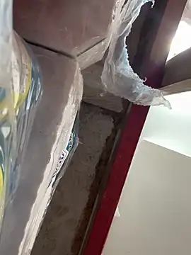 wainer02 online show from 03-11-25, 01:12