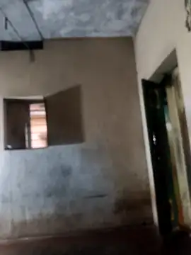 Snapshot of PolarFriend0 chatting on 02-17-26, 12:56 PolarFriend0 online show from 02-17-26, 12:56