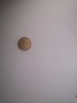 Snapshot of yourflowerpink chatting on 11-29-25, 08:28 yourflowerpink online show from 11-29-25, 08:28