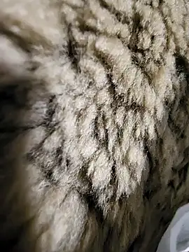 ikeike-kun online show from 12-02-25, 01:33