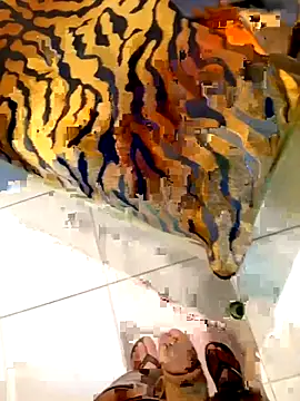 Dglo0000 online show from 02-28-26, 04:46