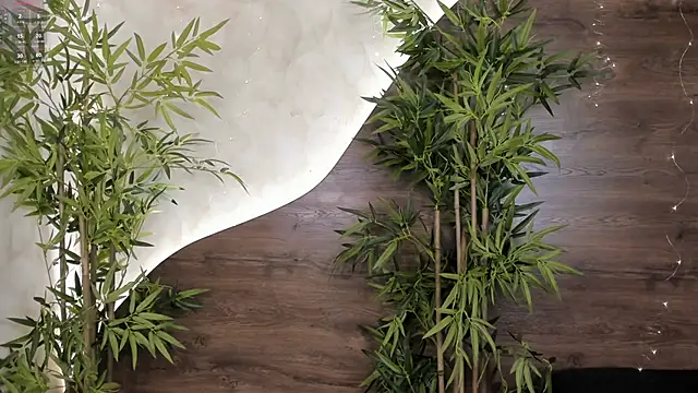 mia lacy  online show from 11-23-25, 07:57