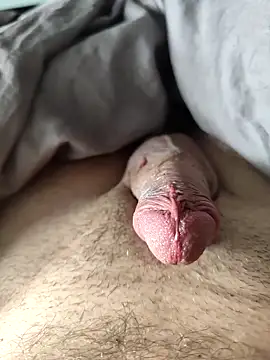 Snapshot of evi42 chatting on 03-18-25, 11:52 evi42 online show from 03-18-25, 11:52