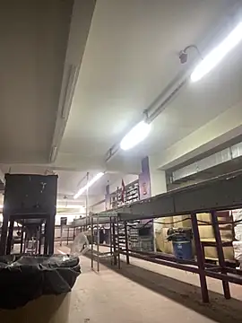 giyasbvnghkgkfk online show from 04-13-26, 07:25