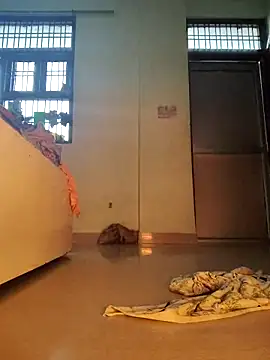 Desi Bhabi 01 online show from 02-01-26, 09:52