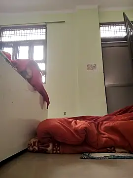 Desi Bhabi 01 online show from 02-04-26, 03:34