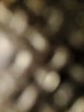 Snapshot of geilerschwanz556r7 chatting on 09-30-25, 08:52 geilerschwanz556r7 online show from 09-30-25, 08:52