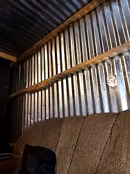 Thenaughtyboy360 online show from 12-21-25, 10:06