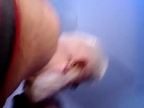 CloudyMuscleBeefy online show from 11-26-25, 05:58