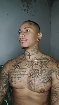 David tatto1 online show from 03-03-26, 03:34