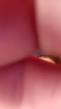 Fox Roxxan online show from 09-22-25, 06:32