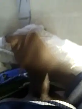 Snapshot of 92donis chatting on 11-20-25, 07:24 92donis online show from 11-20-25, 07:24