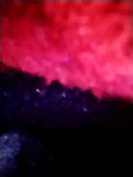 salimbasha online show from 09-28-25, 12:27