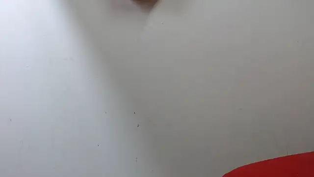 lola warner online show from 10-16-25, 03:40