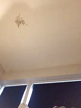 Snapshot of Sissy_Cindy_Whore chatting on 11-09-25, 02:04 Sissy Cindy Whore online show from 11-09-25, 02:04