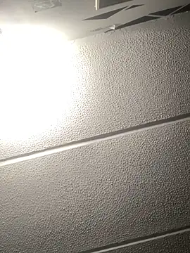 malek xarx  online show from 09-11-25, 03:17