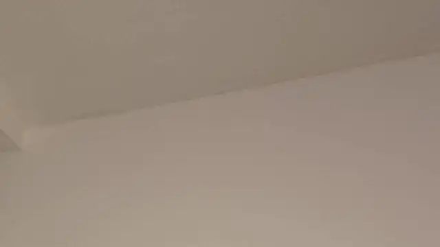 Aleecandrews online show from 11-24-25, 07:35