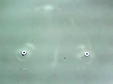 20cmloiro online show from 01-15-26, 12:59