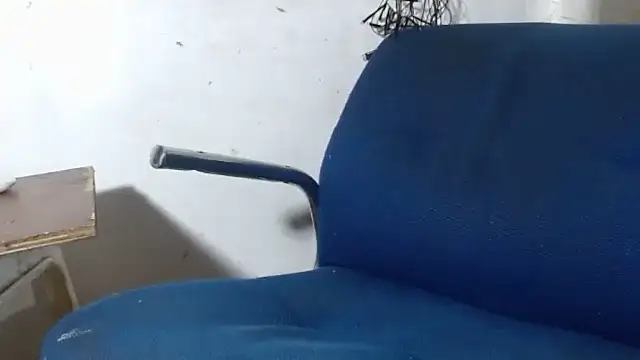 BebaFoxx online show from 11-26-25, 08:26