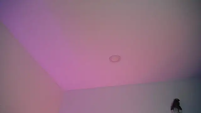 Snapshot of Stepha_babe chatting on 09-08-25, 10:53 Stepha babe online show from 09-08-25, 10:53