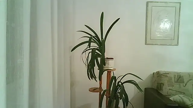 Snapshot of Dartanjanas13 chatting on 11-28-25, 08:11 Dartanjanas13 online show from 11-28-25, 08:11