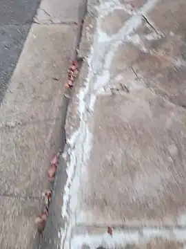 Snapshot of dickcurved38 chatting on 02-20-26, 04:53 dickcurved38 online show from 02-20-26, 04:53