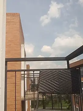 Tattoboy19cm online show from 10-09-25, 03:10