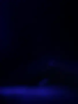 curis4270panda online show from 02-19-26, 11:39