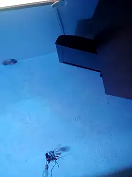 melisa hot420 online show from 11-08-25, 08:25