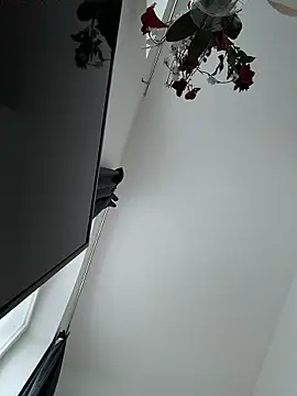 SexyLeon8 online show from 01-14-26, 03:06