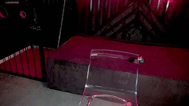 Snapshot of LiviaShy chatting on 12-02-25, 02:45 LiviaShy online show from 12-02-25, 02:45