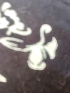 papukurty online show from 02-22-26, 12:15